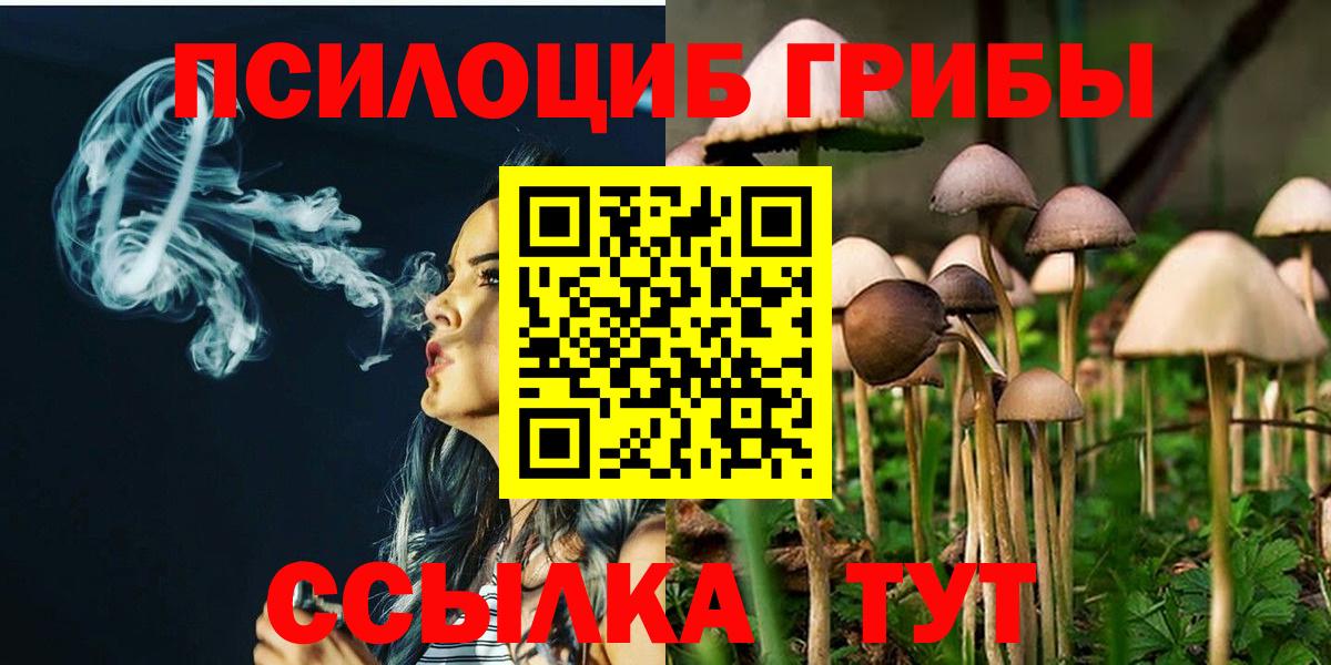 Псилоцибиновые грибы мухоморы  Вход с VPN  Псилоцибиновые грибы Magic Shrooms  Тельмана 